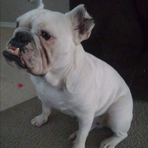 Meet your Posher, Adrian